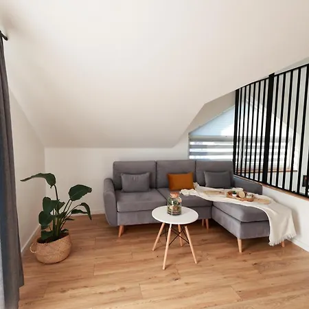 Raba - I Pod Krakowem Casa vacanze *